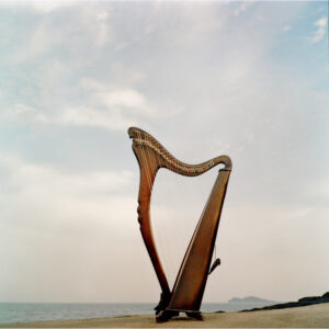 Harp on the beach